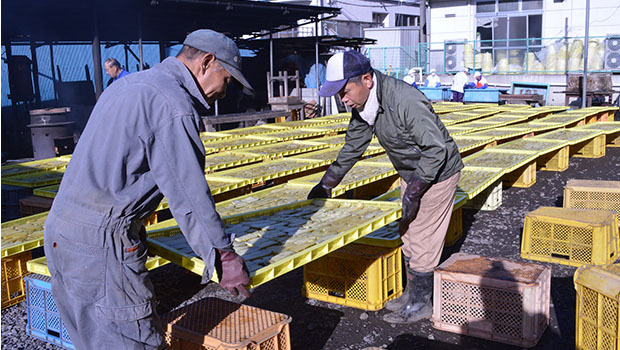 農業で地域貢献 介護事業者の倒産高止まり 愛知県一宮市の注文住宅なら高コスパ高性能のニッケンホーム