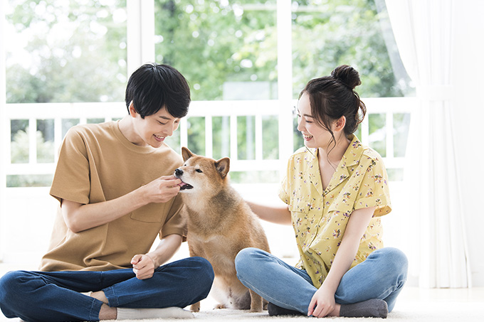 ペットと一緒に快適に暮らせる注文住宅